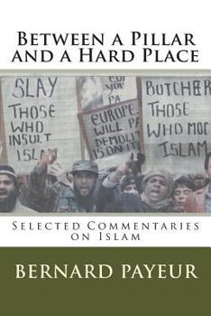 Paperback Between a Pillar and a Hard Place Book