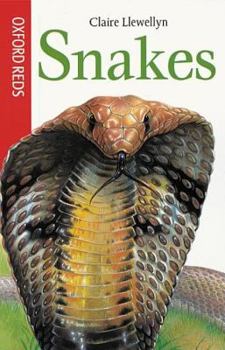 Hardcover Snakes (Oxford Reds) Book