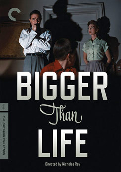 DVD Bigger Than Life Book