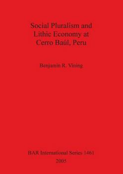 Paperback Social Pluralism and Lithic Economy at Cerro Baúl, Peru Book