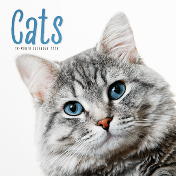 2026 Cats Wall Calendar