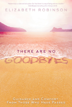 Paperback There Are No Goodbyes: Guidance and Comfort from Those Who Have Passed Book