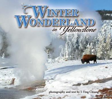 Paperback Winter Wonderland in Yellowstone Book