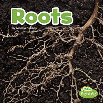 Hardcover Roots Book
