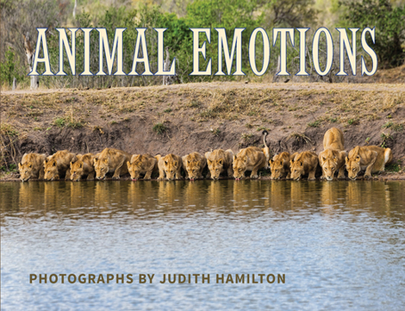Paperback Animal Emotions Book