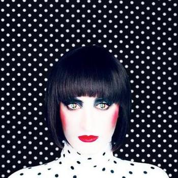 Vinyl In Standard Definition Book