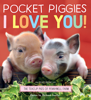 Board book Pocket Piggies: I Love You! Book