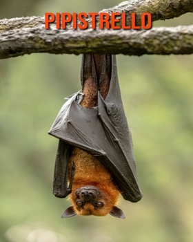 Pipistrello: Immagini bellissime e fatti interessanti Libro per bambini sui Pipistrello