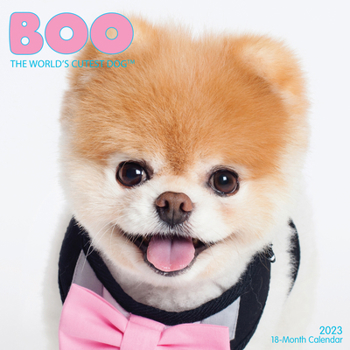 Calendar Boo 2023 Wall Calendar Book