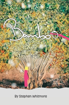 Hardcover Bamboo Book