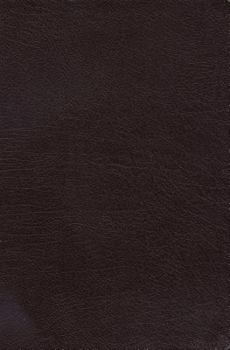 Paperback Charles F. Stanley Life Principles Bible-NKJV Book