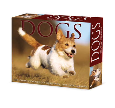 Product Bundle Dogs 2024 6.2 X 5.4 Box Calendar Book