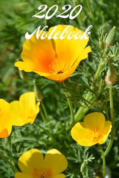 2020 Notebook: A5 (6 x 9 Inches) Notebook Journal Diary. High Quality Hand Writing Journal with 100 Pages