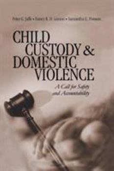Paperback Child Custody and Domestic Violence: A Call for Safety and Accountability Book