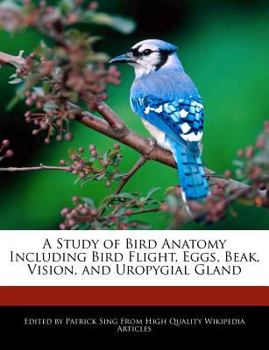 A Study of Bird Anatomy Including Bird Flight, Eggs, Beak, Vision, and Uropygial Gland
