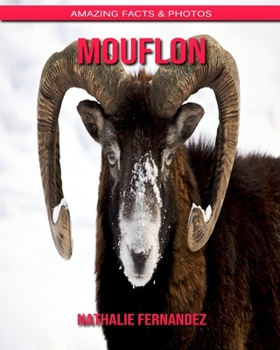 Mouflon: Amazing Facts & Photos