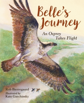 Hardcover Belle's Journey: An Osprey Takes Flight Book