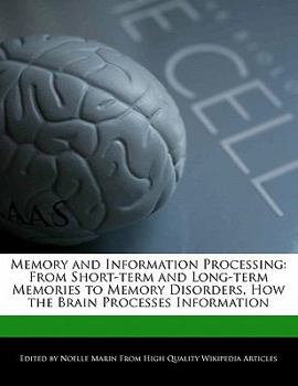 Memory and Information Processing : From Short-term and Long-term Memories to Memory Disorders, How the Brain Processes Information