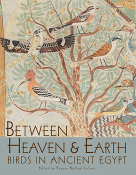 Paperback Between Heaven and Earth: Birds in Ancient Egypt Book