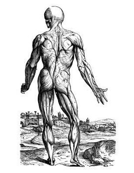 Anatomy Notebook: Skinless Man Muscles 09 - Andreas Vesalius Anatomy Art College Ruled Notebook | 110 Pages (Andreas Vesalius White Cover)