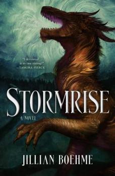 Hardcover Stormrise Book