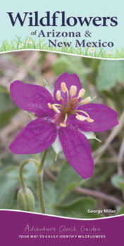 Spiral-bound Wildflowers of Arizona & New Mexico: Your Way to Easily Identify Wildflowers Book