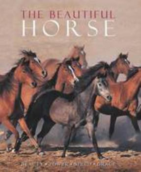 Hardcover The Beautiful Horse Book