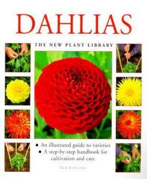 Hardcover Dahlias Book