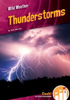 Library Binding Thunderstorms Book