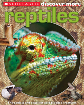 Paperback Scholastic Discover More: Reptiles Book