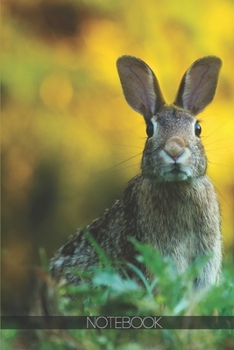 Paperback Notebook: Cute bunny rabbit on field [110 pages]: Cute bunny rabbit on field Book