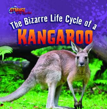 Library Binding The Bizarre Life Cycle of a Kangaroo Book