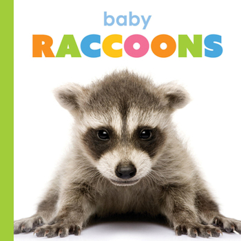 Paperback Baby Raccoons Book