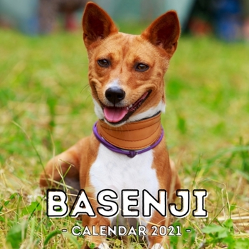 Paperback Basenji: 2021 Calendar, Cute Gift Idea Basenji Lovers Or Owners Men And Women Book