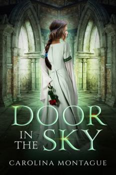 Paperback Door in the Sky: Nefer Curse Book One Book