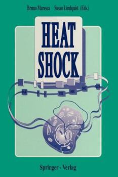 Paperback Heat Shock Book