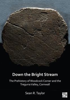 Paperback Down the Bright Stream: The Prehistory of Woodcock Corner and the Tregurra Valley, Cornwall Book