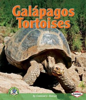 Library Binding Galapagos Tortoises Book