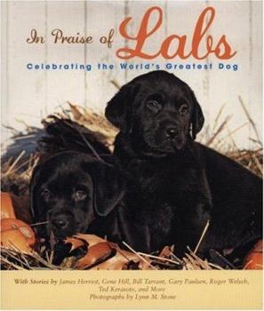 Hardcover In Praise of Labs: Celebrating the World's Greatest Dog Book