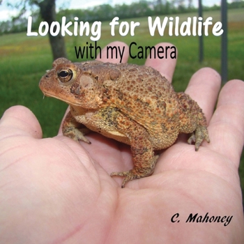 Looking for Wildlife with my Camera: Wildlife Facts and Nature Photos for Kids