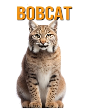 Paperback Bobcat: The Essential Guide to This Amazing Animal with Amazing Photos Book