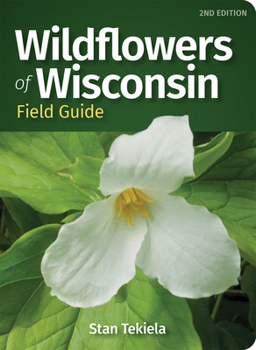 Wildflowers Of Wisconsin