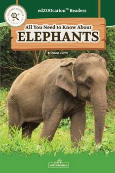 All You Need to Know about Elephants