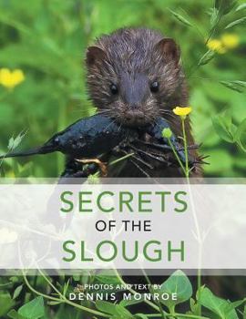 Paperback Secrets of the Slough Book