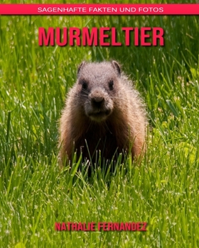 Murmeltier: Sagenhafte Fakten und Fotos