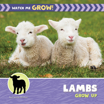 Library Binding Lambs Grow Up Book