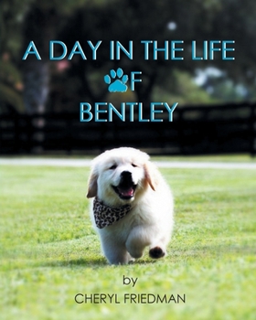 Paperback A Day in the Life of Bentley Book