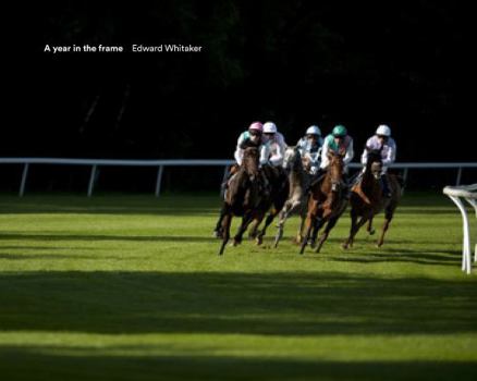 Hardcover A Year in the Frame Book