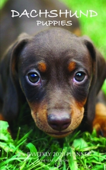 Paperback Dachshund Puppies 5 x 8 Weekly 2020 Planner: One Year Calendar Book