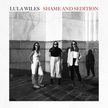 Vinyl Shame & Sedition Book
